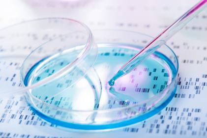 DNA, Laboratory, Stem Cell, Healthcare And Medicine, Petri Dish