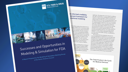 Successes and Opportunities in Modeling and Simulation for FDA