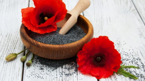 Opiate Alkaloids on Poppy Seeds