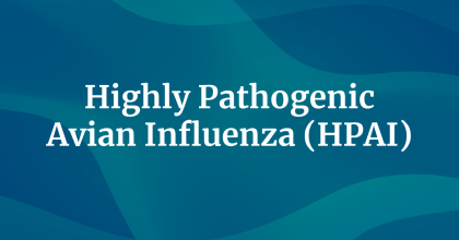 Updates on Highly Pathogenic Avian Influenza