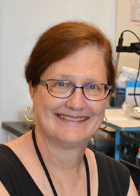 Deborah Hursh, Ph.D.