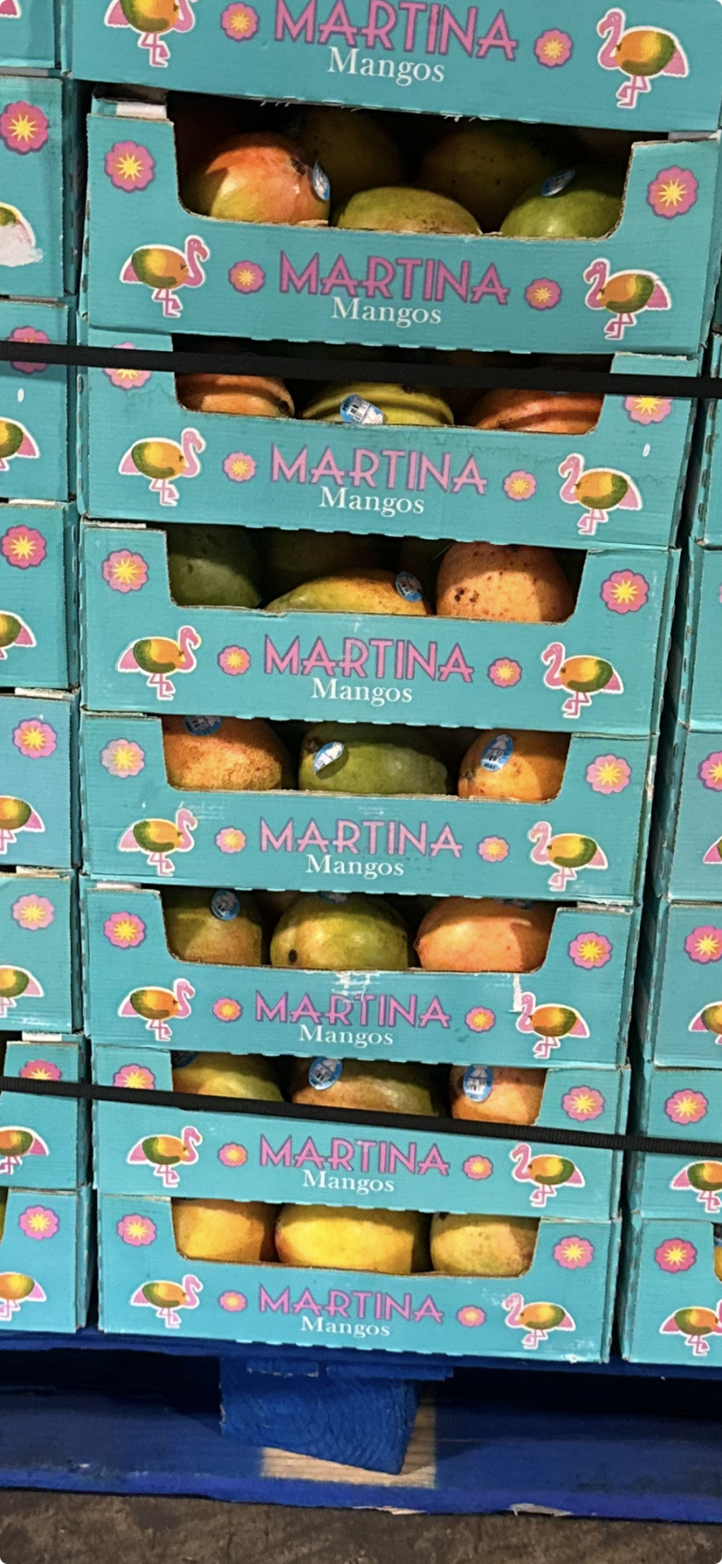 Major Food Recall Alert: Walmart Berries and Mangos, Halloween Candy, Olive Oil, and Organic Moringa Pulled Over E. coli, Salmonella, and Undeclared Milk Risks 2 image 2 rev