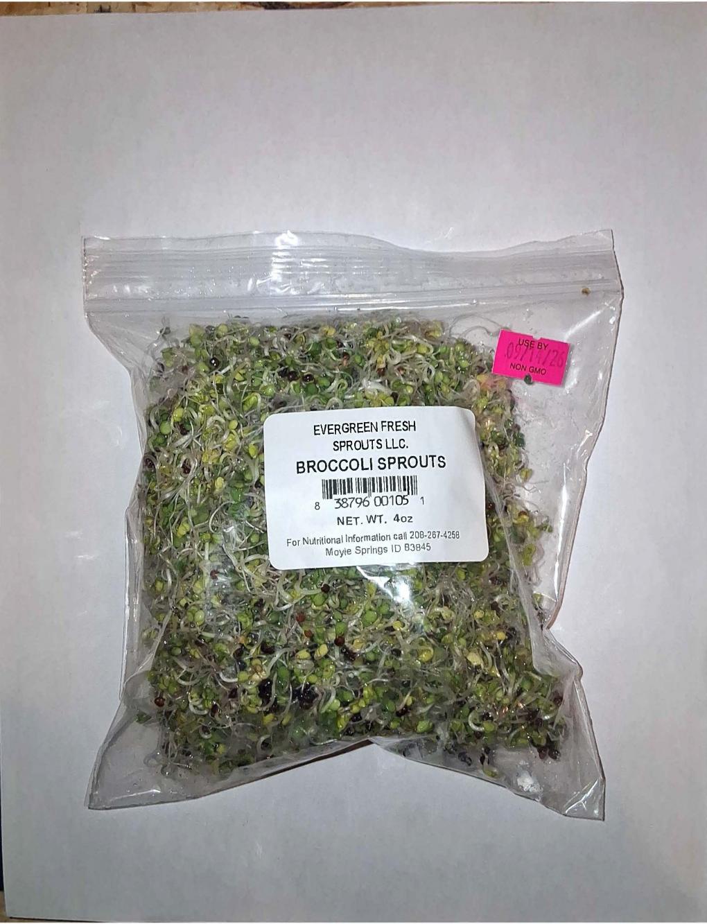 photo of broccoli sprouts2026 page 1