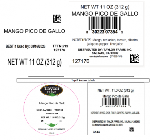 Target (Taylor Farms/Unbranded) — Mango Pico De Gallo 11oz (UPC 030223073543)