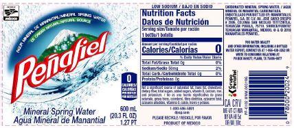 Penafiel Mineral Spring Water, 600 mL