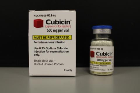 “Image of Cubicin 500mg”