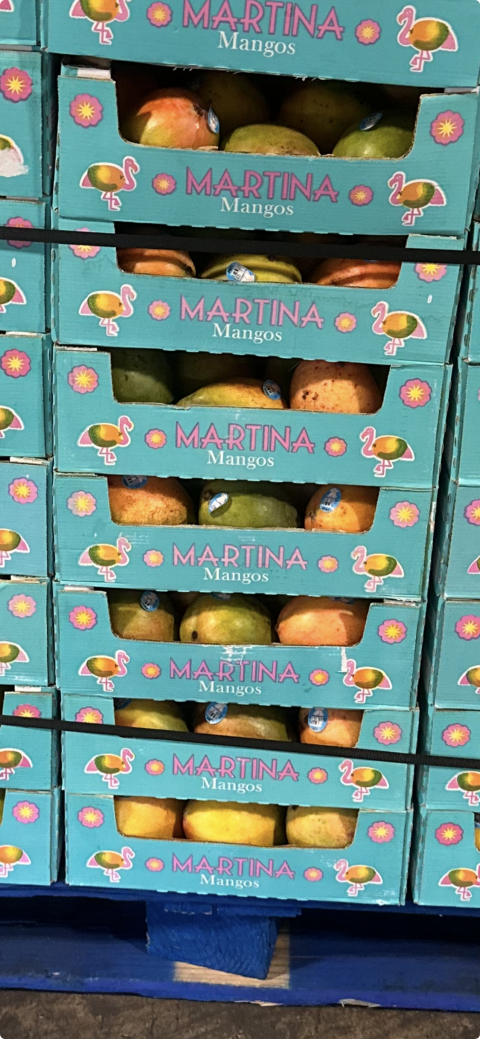Martina-branded case of mangoes
