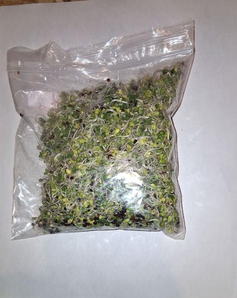Photograph of zip lock bag containing broccoli sprouts, 4 oz.