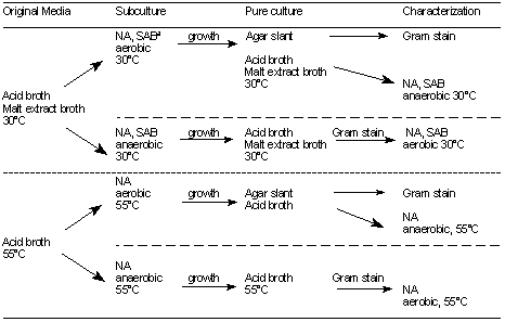 ​Schematic diagram of pure culture procedure for acid foods