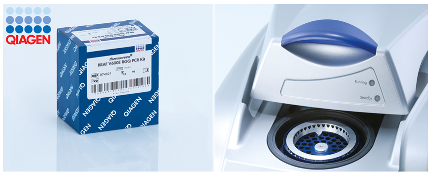 The therascreen® BRAF V600E RGQ PCR Kit - P190026