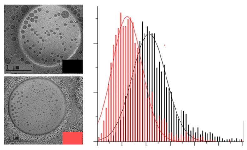 Modern Intact NMR Approach Reveals Synchronized Microstructural Changes in Nanoemulsion Drug Formulations