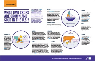 What GMO Crops Are Grown and Sold in US