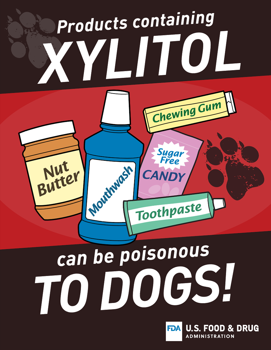 Paws Off Xylitol; It's Dangerous for Dogs