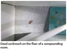 Dead cockroach on the floor of the compounding room