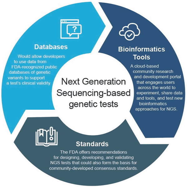 Diagrama de flujo para pruebas genéticas basadas en Secuenciación de Próxima Generación. Las bases de datos fluyen hacia herramientas bioinformáticas que fluyen hacia estándares que vuelven a las bases de datos. Bases de datos: Permitirían a los desarrolladores utilizar datos de bases de datos públicas reconocidas por la FDA de variantes genéticas para apoyar la validez clínica de una prueba. Herramientas bioinformáticas: un portal de investigación y desarrollo comunitario basado en la nube que involucra a usuarios de todo el mundo para experimentar, compartir datos y herramientas, y probar nuevos enfoques bioinformáticos para NGS. Estándares: la FDA ofrece recomendaciones para diseñar, desarrollar y validar pruebas NGS que también podrían formar la base para estándares de consenso desarrollados por la comunidad.