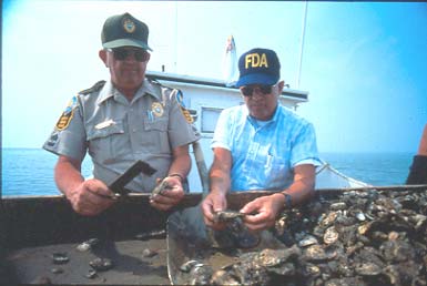 Two men inspecting oysters with the Chesapeake Bay in the background.