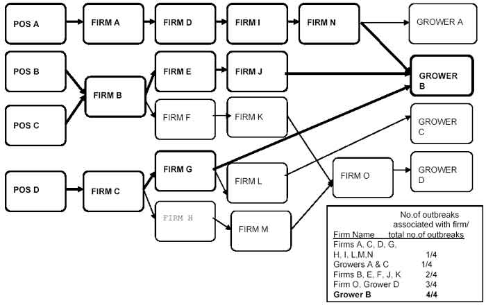 Multi-state Flow Diagram Example