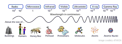 Diagram. Wavelength in centimeters, and approximate size examples. Radio, 10^4, buildings. 10^2, humans. Microwave, 1, honey bee. infrared, 10^-2, pinhead. visible, 10^-5, protozoans. Ultraviolet, 10^-6, molecules. X-ray, 10^-8, atoms. Gamma ray, 10^-10 and 10^-12, atomic nuclei. Image courtesy of NASA.