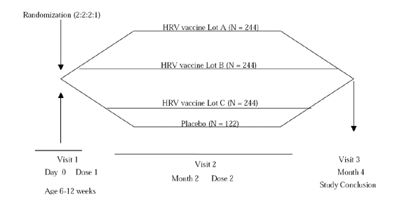 study design