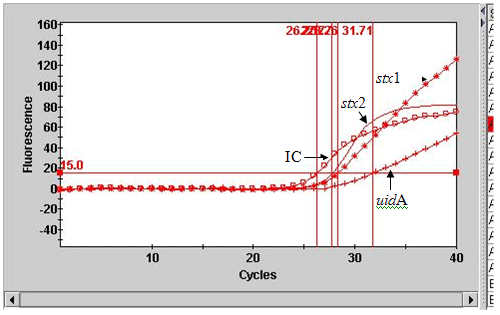 Example of result output from Smart Cycler II. A. Graphical representation of results