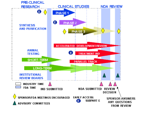 New Drug Development Process chart