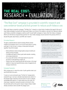 The Real Cost Research and Evaluation PDF Handout Thumbnail