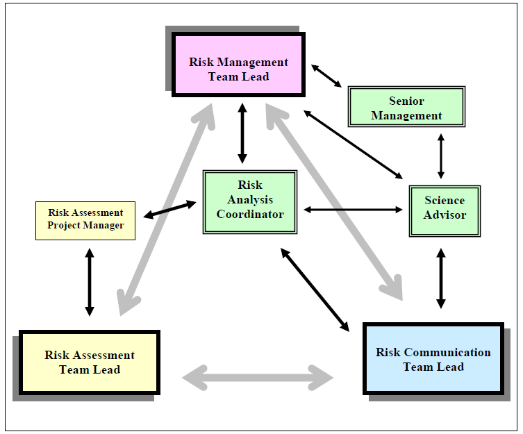 This figure shows the flow of two-way contact and interactions between each component.  The Risk Management Team Lead will have specific points of contact between Senior Management, Risk Assessment Project Manager, Risk Analysis Coordinator, Science Advisor, Risk Assessment Team Lead and Risk Communication Team Lead