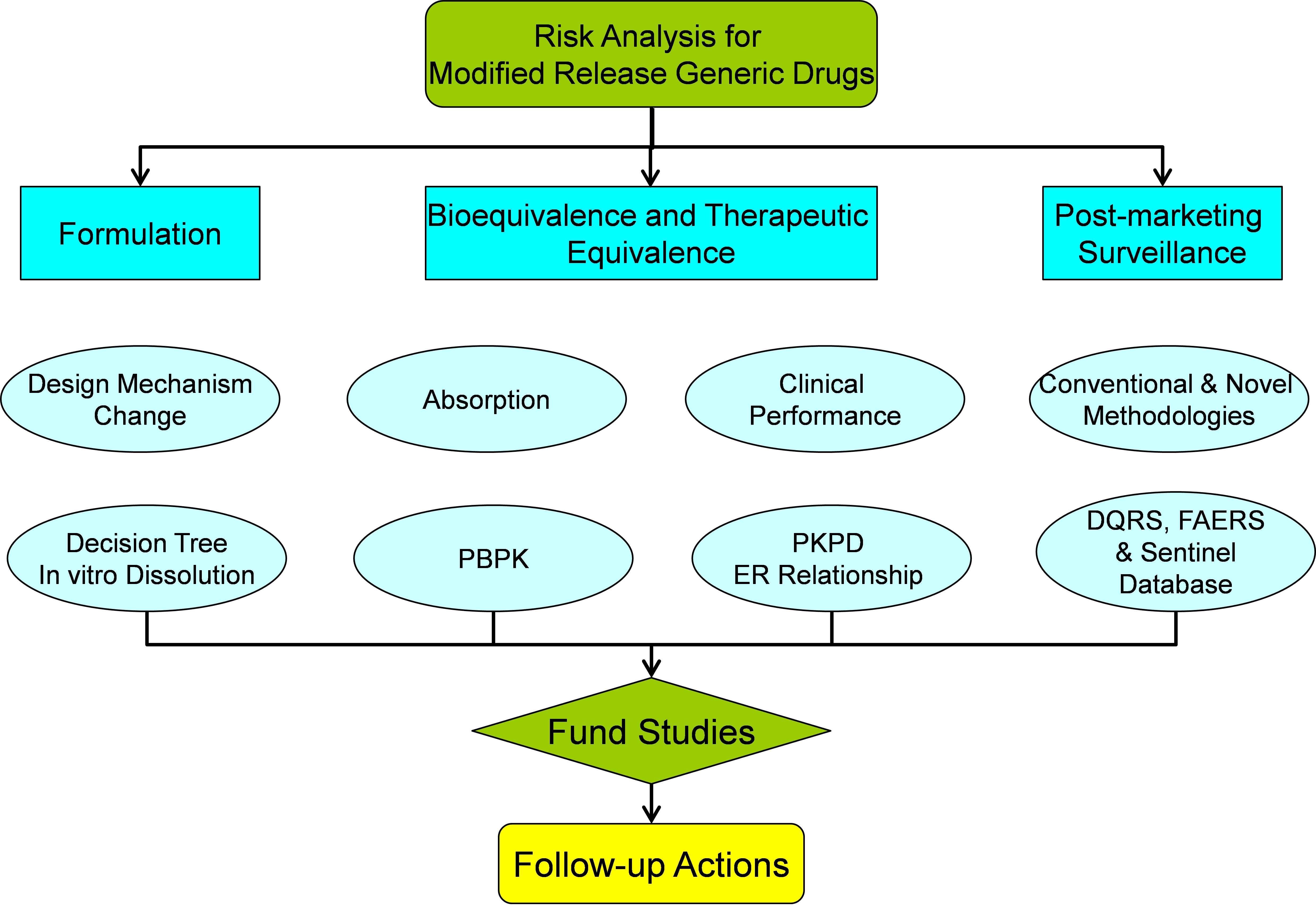 Figure 15. Strategy for risk analysis of MR drug products