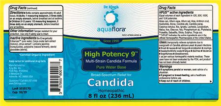 Image 1 - Product labeling, Dr. King’s Aquaflora Candida 8 fl oz (236 mL) Lot 10107G