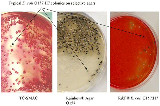 E. coli O157:H7 agars_ucm173500.png