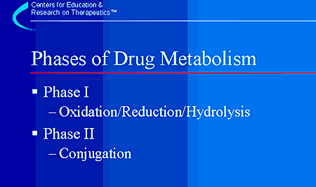 Phases of Drug Metabolism