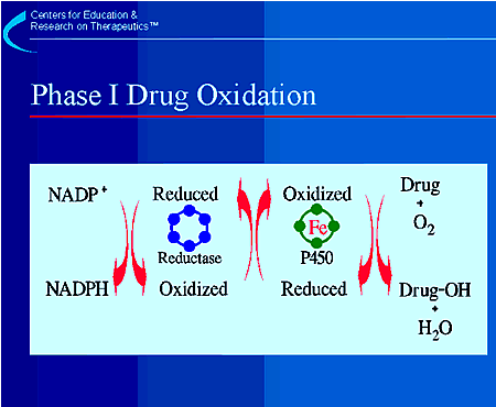 Phase I Drug Oxidation